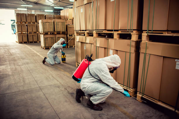 Best Local Pest Control Services  in Marshall, MI
