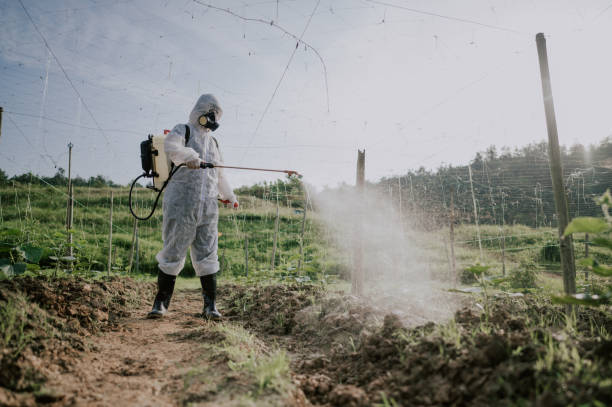 Best Mosquito Control Services  in Marshall, MI