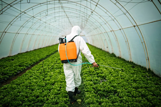 Best Best Pest Control Companies  in Marshall, MI