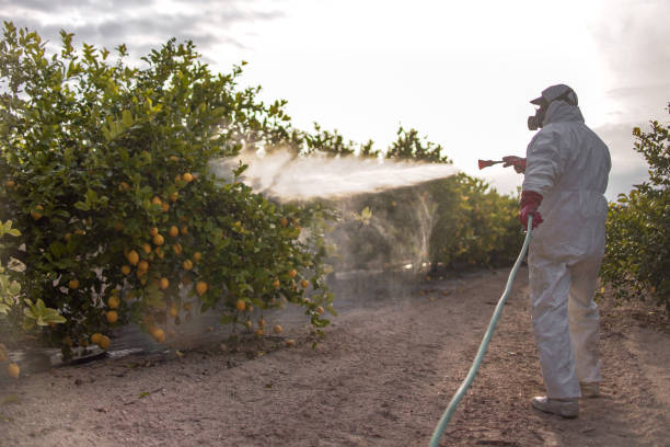 Best Commercial Pest Control Services  in Marshall, MI