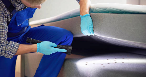 Best Residential Pest Control  in Marshall, MI