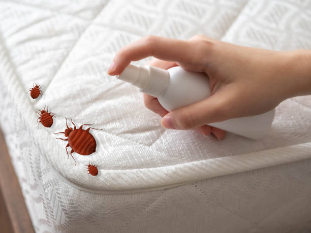 Best Ant Control Services  in Marshall, MI