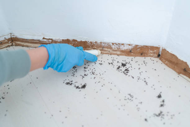 Best Pest Prevention Services  in Marshall, MI