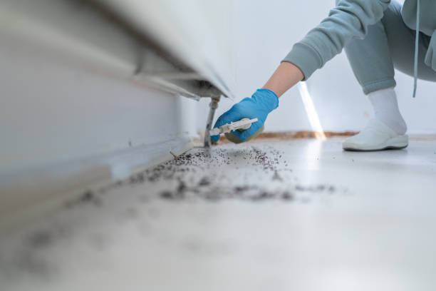 Best Affordable Pest Control Services  in Marshall, MI